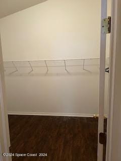 spacious closet featuring wood finished floors