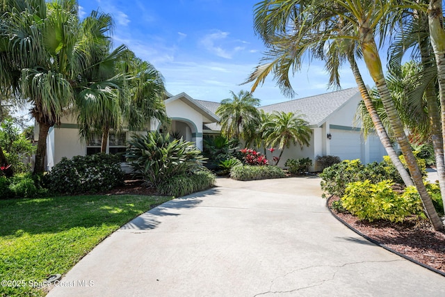 view of property hidden behind natural elements featuring stucco siding, an attached garage, concrete driveway, and a front yard