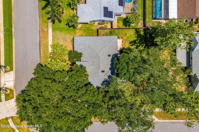 bird's eye view