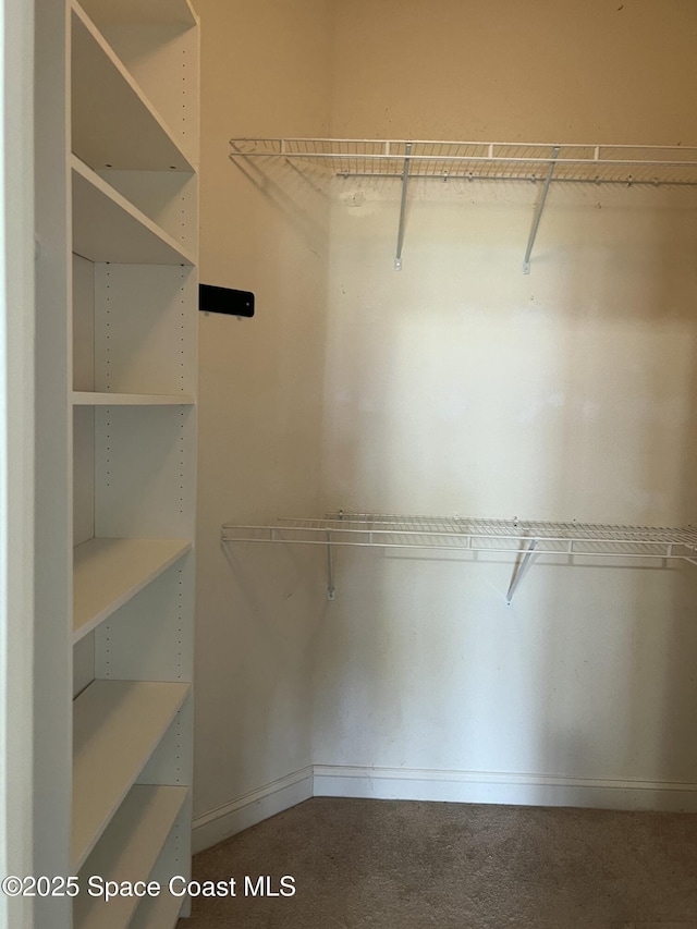 1521 Bridgeport Cir, Rockledge, FL 32955 - view of spacious closet