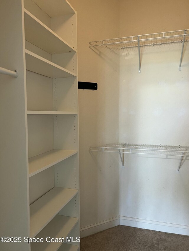 view of walk in closet