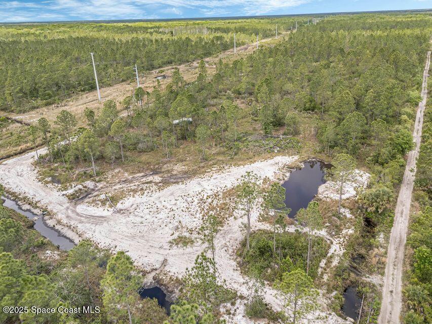 5620 Merritt St, Mims, FL 32754 - photo 3