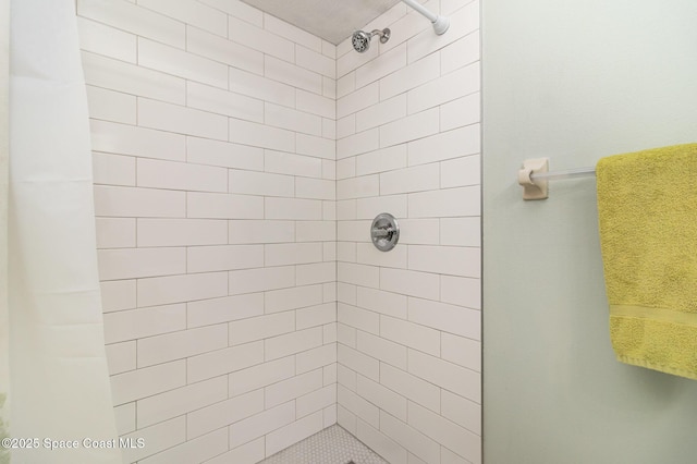 bathroom with a stall shower