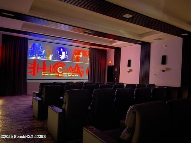 home theater room featuring a tray ceiling