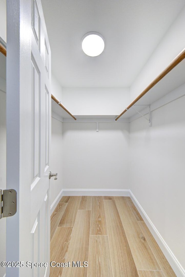 walk in closet with light wood finished floors