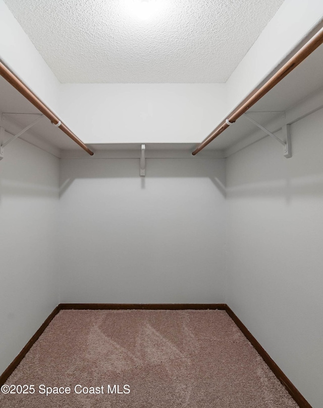 walk in closet with carpet flooring