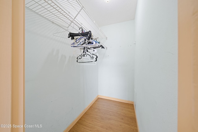 walk in closet featuring light wood-type flooring