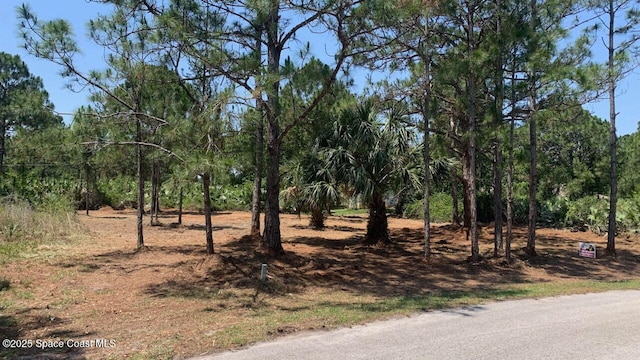 2454 Anchor Rd SE, Palm Bay, FL 32909 - photo 1