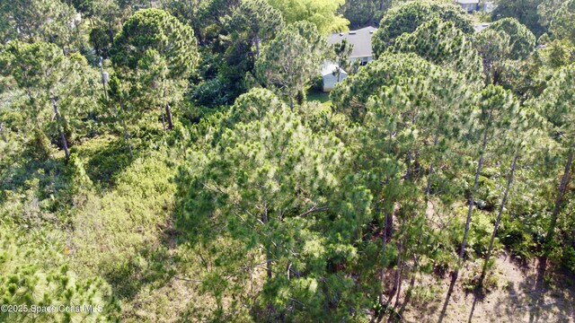 2454 Anchor Rd SE, Palm Bay, FL 32909 - photo 3