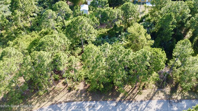 2454 Anchor Rd SE, Palm Bay, FL 32909 - photo 4