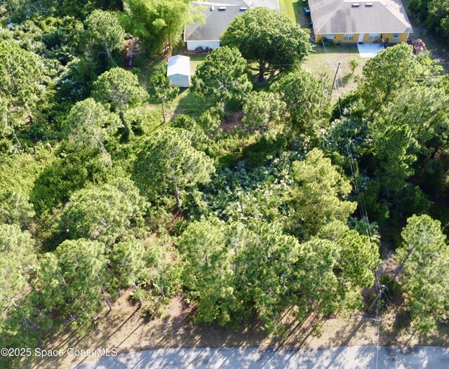 2454 Anchor Rd SE, Palm Bay, FL 32909 - photo 5