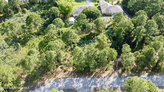2454 Anchor Rd SE, Palm Bay, FL 32909 - photo 6