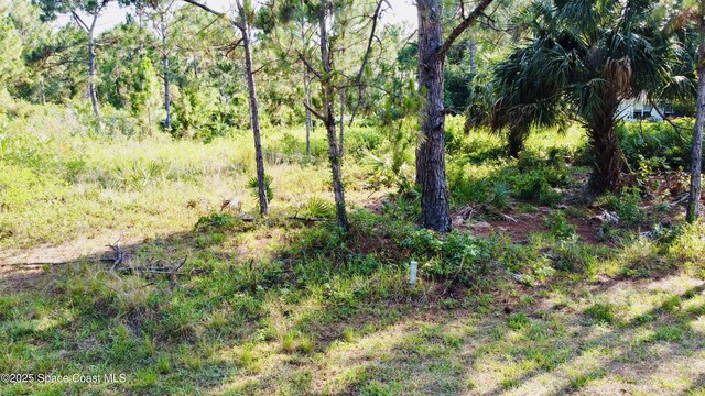 2454 Anchor Rd SE, Palm Bay, FL 32909 - photo 2