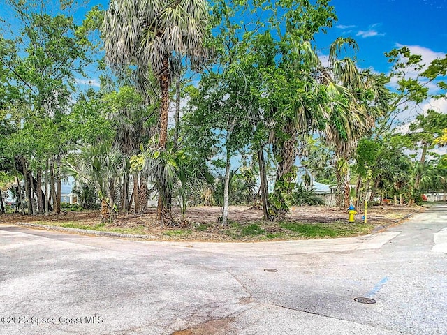 4701 W Clear Ave, Tampa, FL 33629 - photo 7