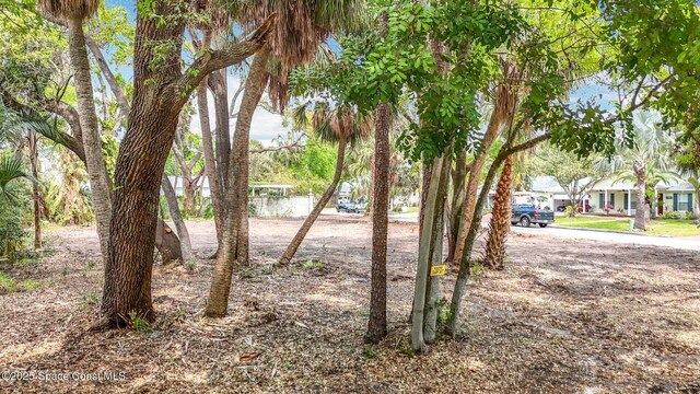 4701 W Clear Ave, Tampa, FL 33629 - photo 11