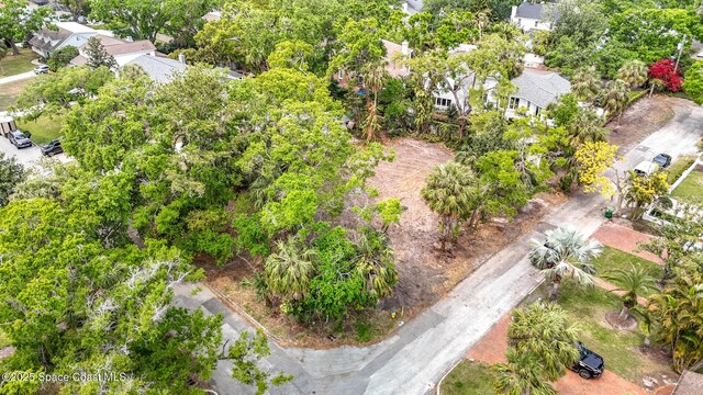 4701 W Clear Ave, Tampa, FL 33629 - photo 5