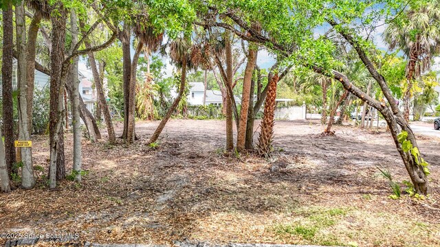 4701 W Clear Ave, Tampa, FL 33629 - photo 10
