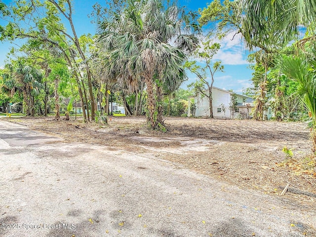 4701 W Clear Ave, Tampa, FL 33629 - photo 8