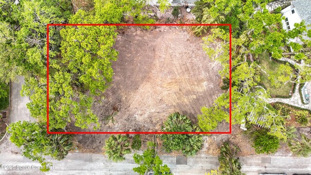 4701 W Clear Ave, Tampa, FL 33629 - photo 2