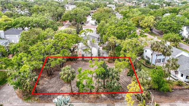 4701 W Clear Ave, Tampa, FL 33629 - photo 3