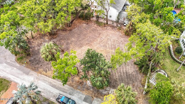 4701 W Clear Ave, Tampa, FL 33629 - photo 6