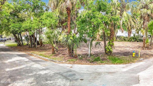4701 W Clear Ave, Tampa, FL 33629 - photo 4