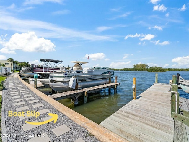 dock area featuring a water view