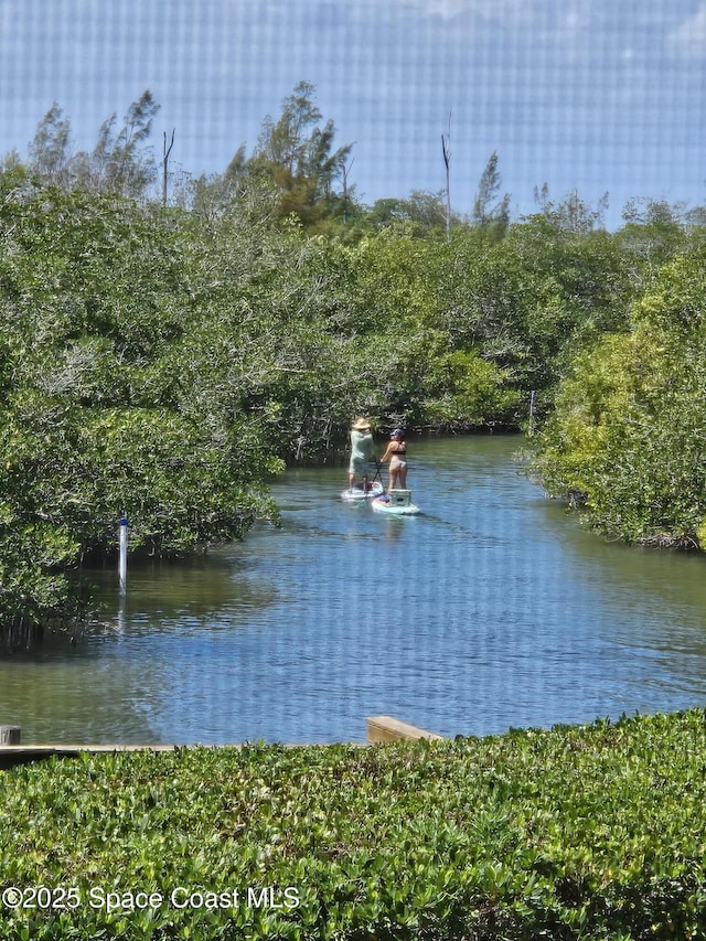 property view of water