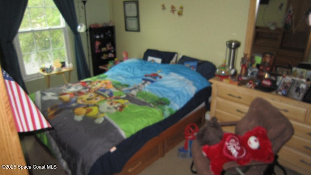 112 Broyles Dr SE, Palm Bay, FL 32909 - view of bedroom