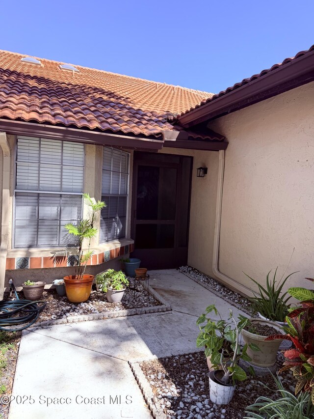 doorway to property with stucco siding and a tile roof