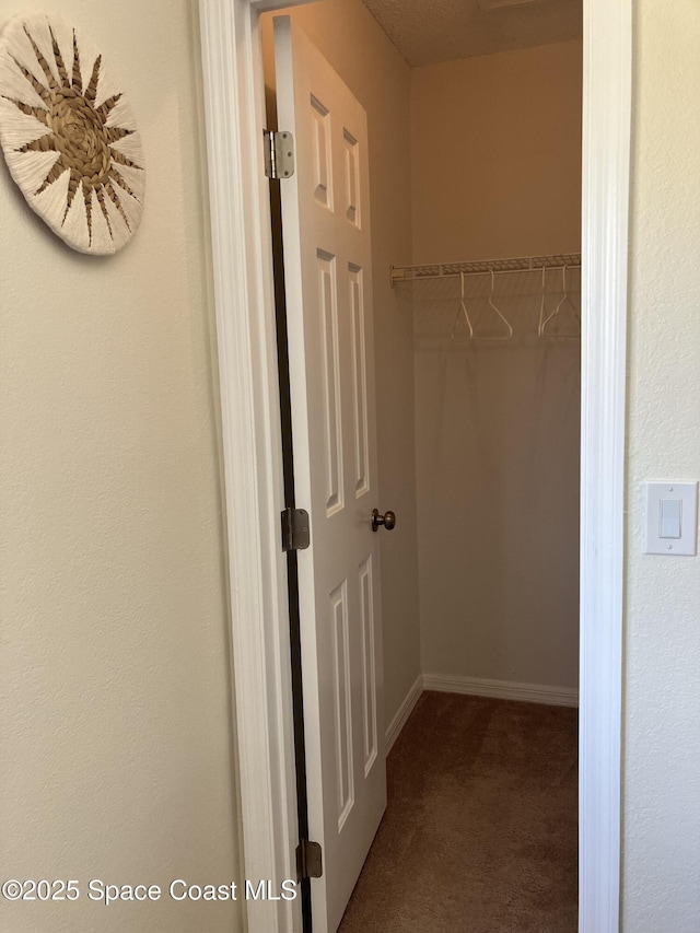 spacious closet featuring carpet