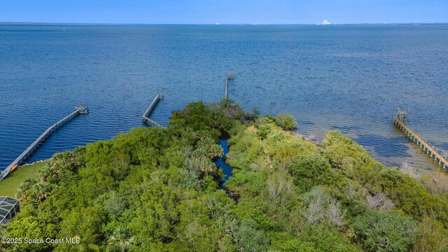 5454 Riveredge Dr, Titusville, FL 32780 - bird's eye view of a large body of water