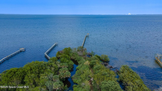 5454 Riveredge Dr, Titusville, FL 32780 - water view