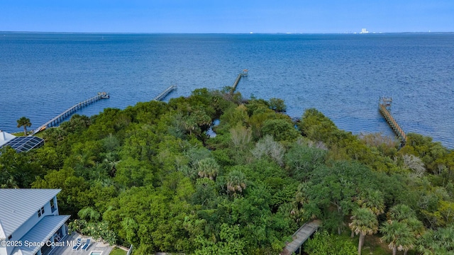 5454 Riveredge Dr, Titusville, FL 32780 - water view