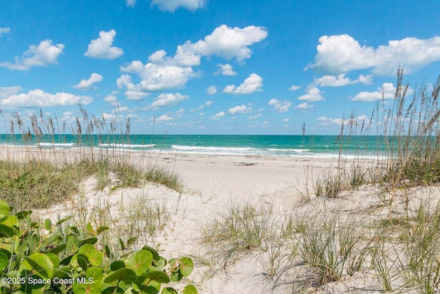 water view featuring a beach view