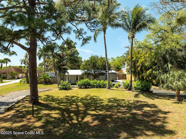 view of yard