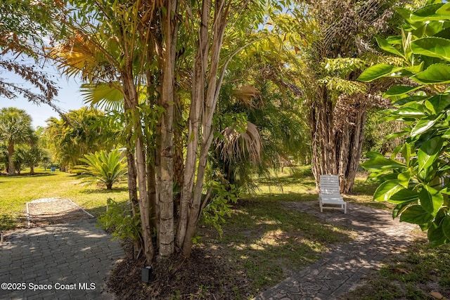 surrounding community with a yard