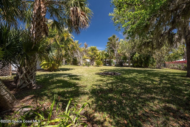 view of yard