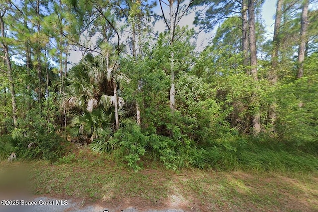 1614 Seeley Cir NW, Palm Bay, FL 32907