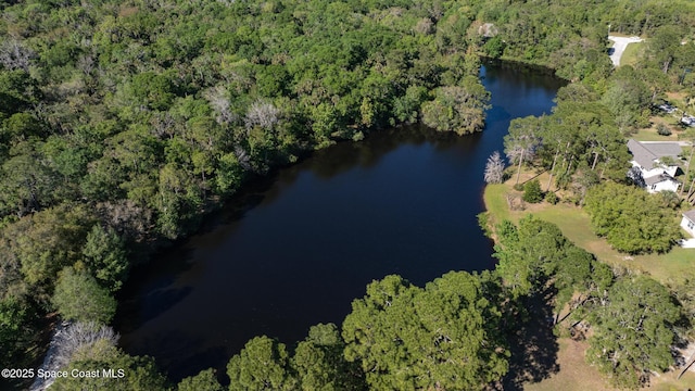 5425 James Ln, Mims, FL 32754 - bird's eye view with a wooded view and a water view