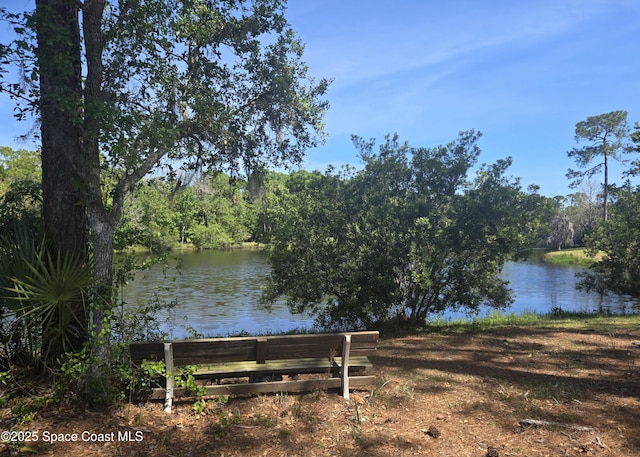 5425 James Ln, Mims, FL 32754 - property view of water
