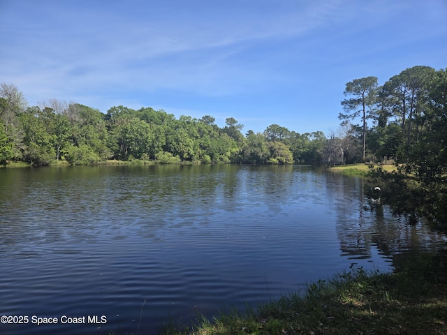 5425 James Ln, Mims, FL 32754 - view of water feature featuring a wooded view