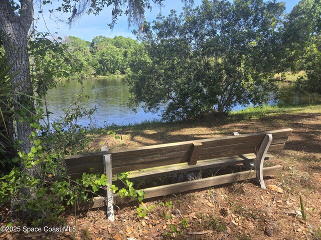 5425 James Ln, Mims, FL 32754 - view of water feature