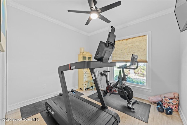 workout room with baseboards, wood finished floors, ceiling fan, and ornamental molding