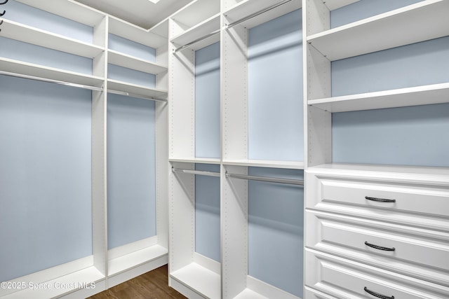 walk in closet with dark wood-type flooring
