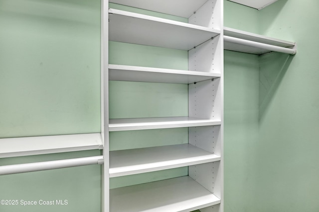view of walk in closet