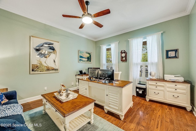 office with wood finished floors, baseboards, ornamental molding, and ceiling fan