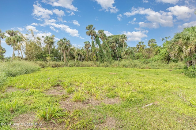 1632 Water Dr NE, Palm Bay, FL 32905 - view of landscape