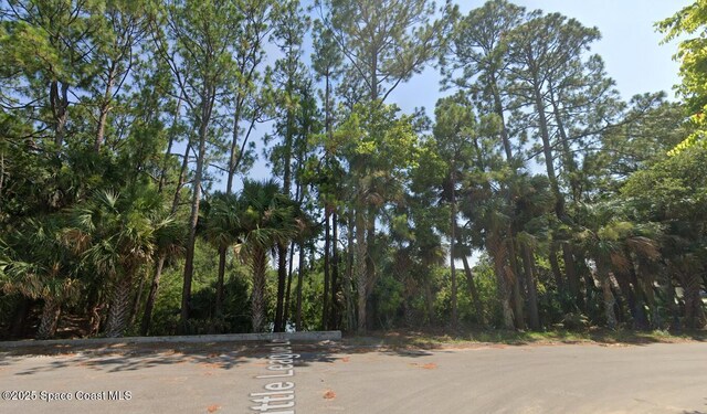 TBD Little League Ln, Titusville, FL 32780 - photo 10