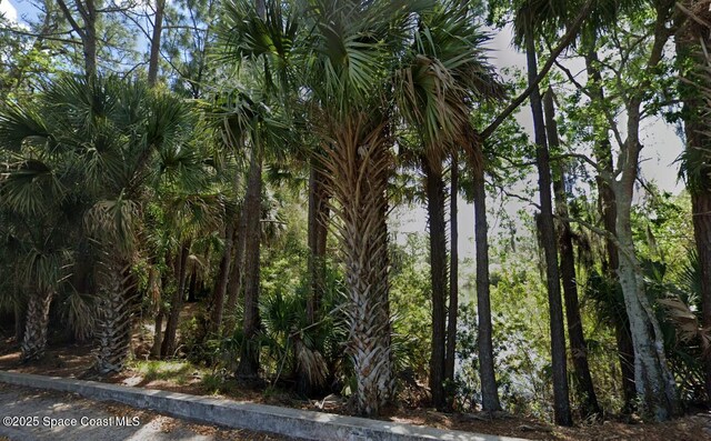 TBD Little League Ln, Titusville, FL 32780 - photo 9